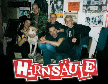 Hirnsule